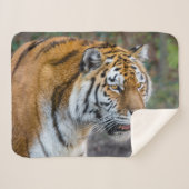 Amur Tiger Sherpa Deken (Voorkant (horizontaal))