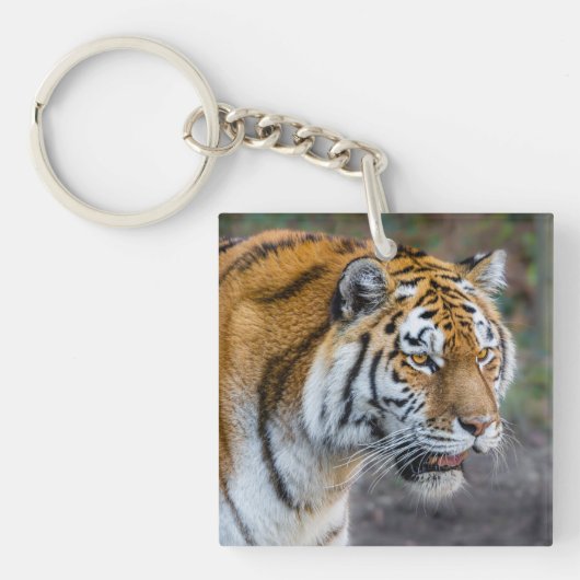 Amur Tiger Sleutelhanger (Voorkant)