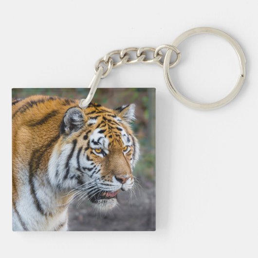 Amur Tiger Sleutelhanger (Achterkant)