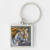 Amur Tiger Sleutelhanger (Voorkant)