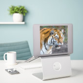 Amur Tiger Sticker (Laptop op bureau)