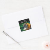 Amur Tiger Sticker (Envelop)