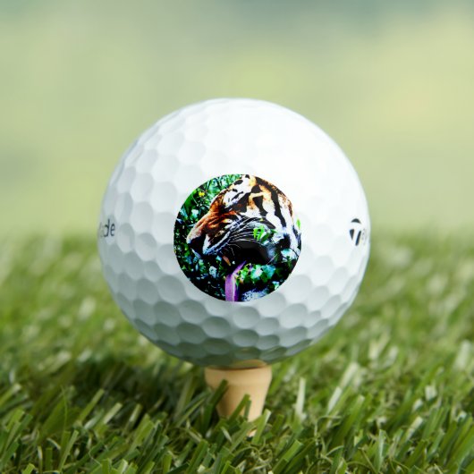 Amur Tiger tmtp5 gbcna Golfballen (Insitu Shirt)