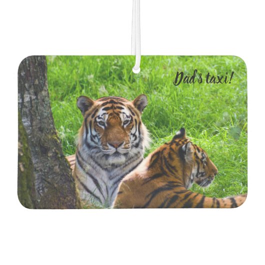 Amur Tigers Car air freshener Luchtverfrisser (Voorkant)