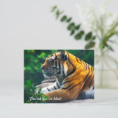 Amur Tijger Ansichtkaart Briefkaart (Staand voorkant)