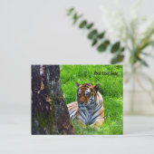 Amur Tijger Ansichtkaart Briefkaart (Staand voorkant)