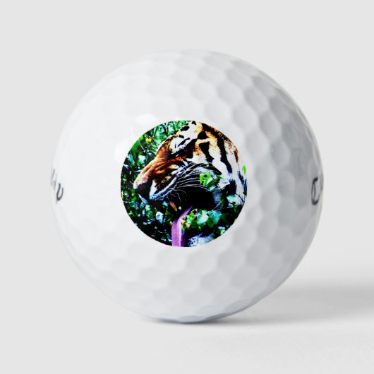 Amur Tijger cwb gbcnm Golfballen (Voorkant)