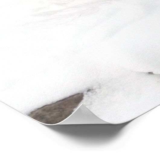 Amur tijger en Cub Poster (Hoek)