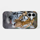 Amur tijger iPhone 16 hoesje (Achterkant horizontaal)