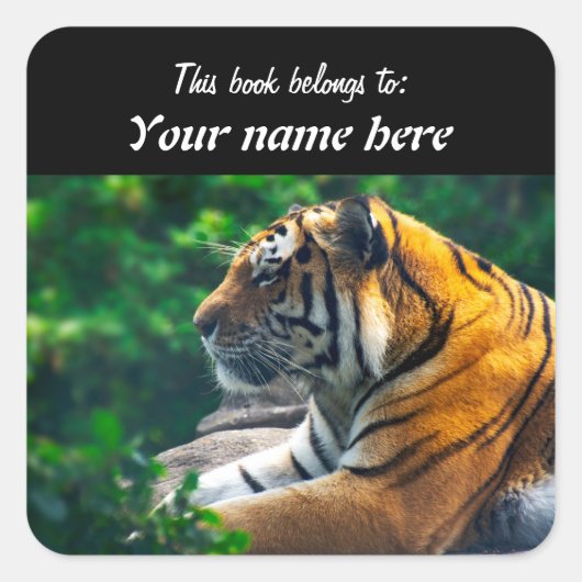 Amur Tijger Sticker (Voorkant)