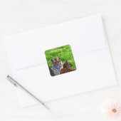 Amur Tijgers "Dit boek is van" Sticker (Envelop)
