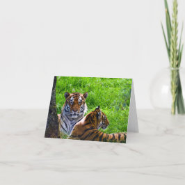 Amur Tijgers Wenskaart Kaart