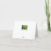 Amur Tijgers Wenskaart Kaart (Achterkant)