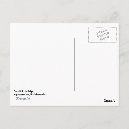 Amusement Park Nostalgia Briefkaart (Achterkant)