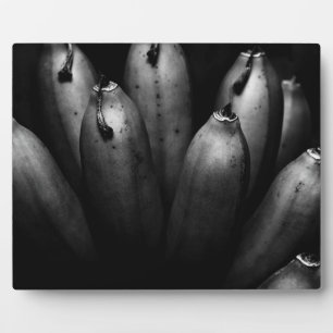 amuserende groep fotoplaat
