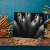 amuserende groep fotoplaat (Zijkant)