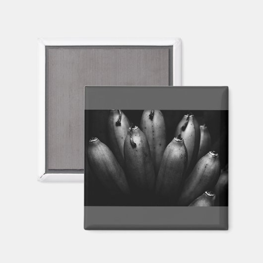 amuserende groep magneet (Voorkant / Achterkant)