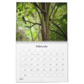 Amy Stonebraker-fotokalender 2014 Kalender (Feb 2027)