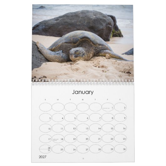 Amy Stonebraker-fotokalender 2014 Kalender (Jan 2027)