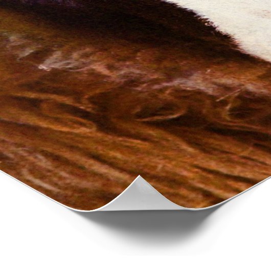 Amy The Ewe Poster (Hoek)