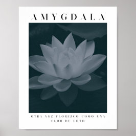 AMYGDALA - LOTUS FLOWER, grijs palet,  Poster