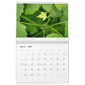 Amy's 2021 fotokalender kalender (Mar 2027)