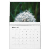 Amy's 2022 Fotokalender Kalender (Mar 2027)