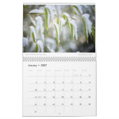 Amy's 2023 Fotokalender Kalender (Jan 2027)