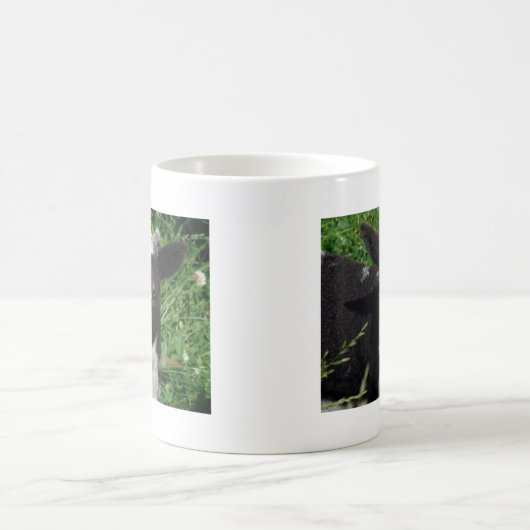 Amy's Lamb Koffiemok (Center)