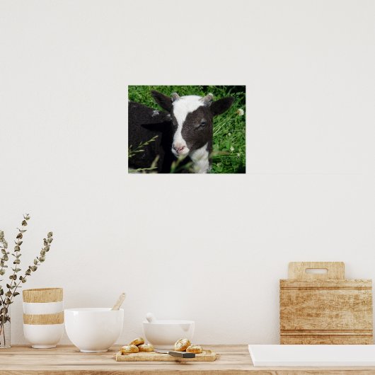 Amy's Lamb Poster (Keuken)