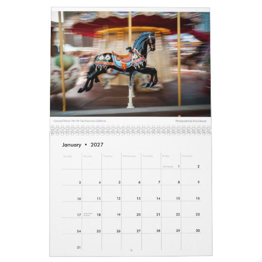 Amy's Photo Calendar 2014 (oud) Kalender (Jan 2027)