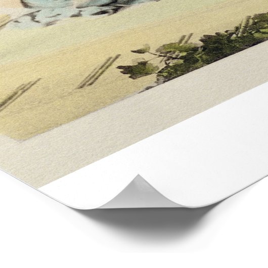 An Aftermiddag Call, c.1880 (met de hand gekleurde Poster (Hoek)