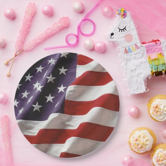 AN American Flag - VS Papieren Bordje (Feest)