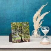 An autumn walk fotoplaat (Insitu)