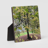 An autumn walk fotoplaat (Voorkant)