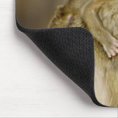 An baby Yellow Baboon (Papio) Muismat (Hoek)