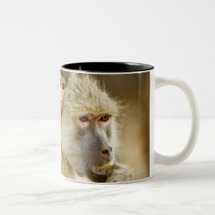 An baby Yellow Baboon (Papio) Tweekleurige Koffiemok