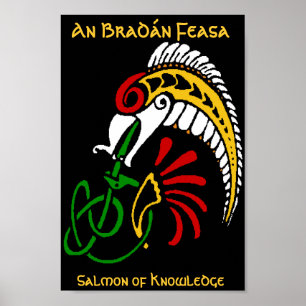 An Braddopingn Feasa - The Salmon of Knowledge Poster