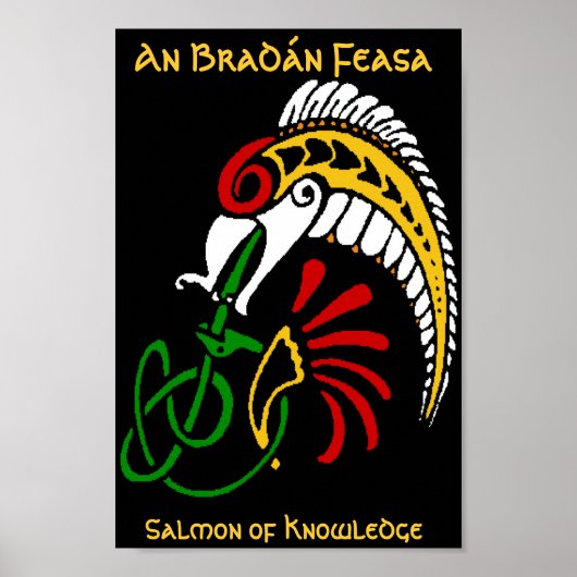 An Braddopingn Feasa - The Salmon of Knowledge Poster (Voorkant)