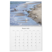 An der Ostsee - Faszination MEER und Natur Kalender (Jan 2026)