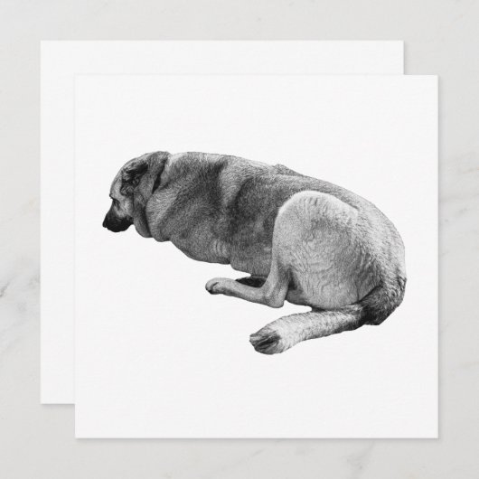 An Easy Place to Be Kaart (Voorkant / Achterkant)