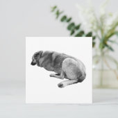 An Easy Place to Be Kaart (Staand voorkant)