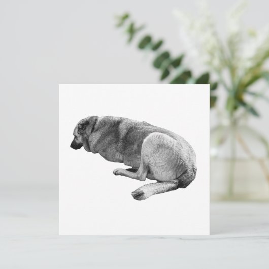 An Easy Place to Be Kaart (Staand voorkant)