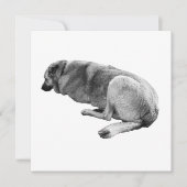 An Easy Place to Be Kaart (Voorkant)