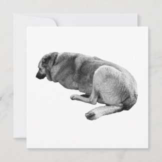 An Easy Place to Be Kaart