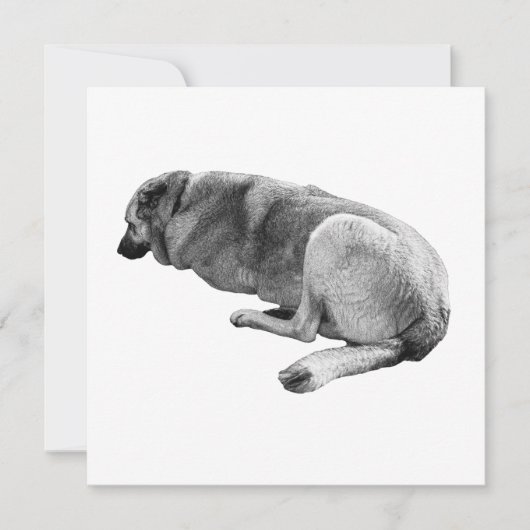 An Easy Place to Be Kaart (Voorkant)