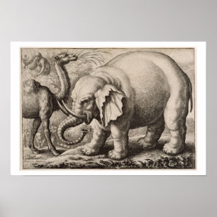 An Elephant and a Camel, gegraveerd door Wenceslau Poster