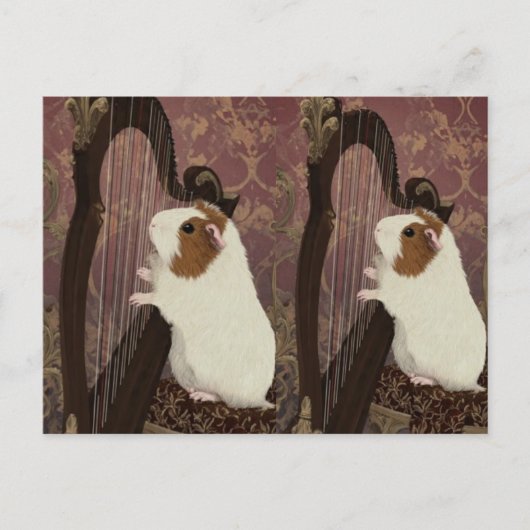 An Evening Recital – Artistic Guinea Pig Postcard Briefkaart (Voorkant)