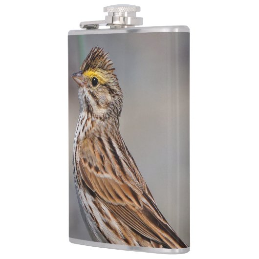 An Inquisitive Savannah Sparrow Heupfles (Links)