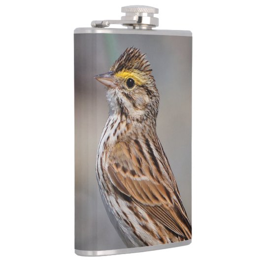 An Inquisitive Savannah Sparrow Heupfles (Rechts)